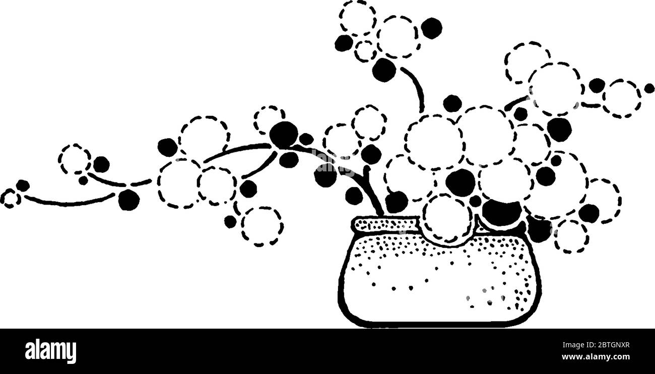 Armonia in un piccolo vaso dove i cerchi bianchi rappresentano i fiori e i punti neri rappresentano il fogliame, il disegno di linee vintage o l'illustrazione dell'incisione. Illustrazione Vettoriale