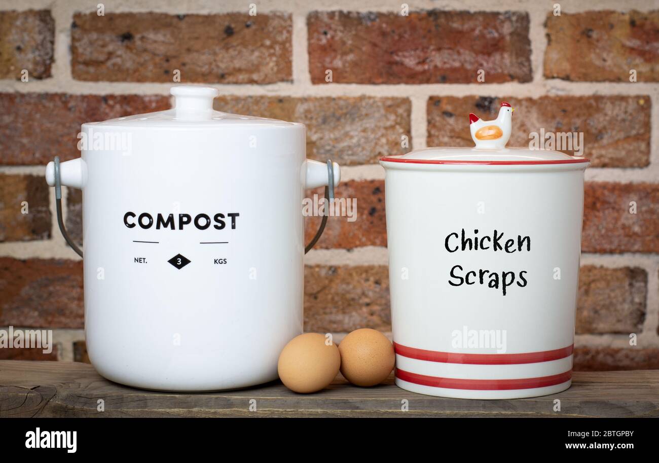 riciclare cucina rifiuti alimentari contenitore compost e contenitore scarti di pollo su piano di banco cucina, vivere sostenibile casa fattoria vittoria giardino concetto Foto Stock