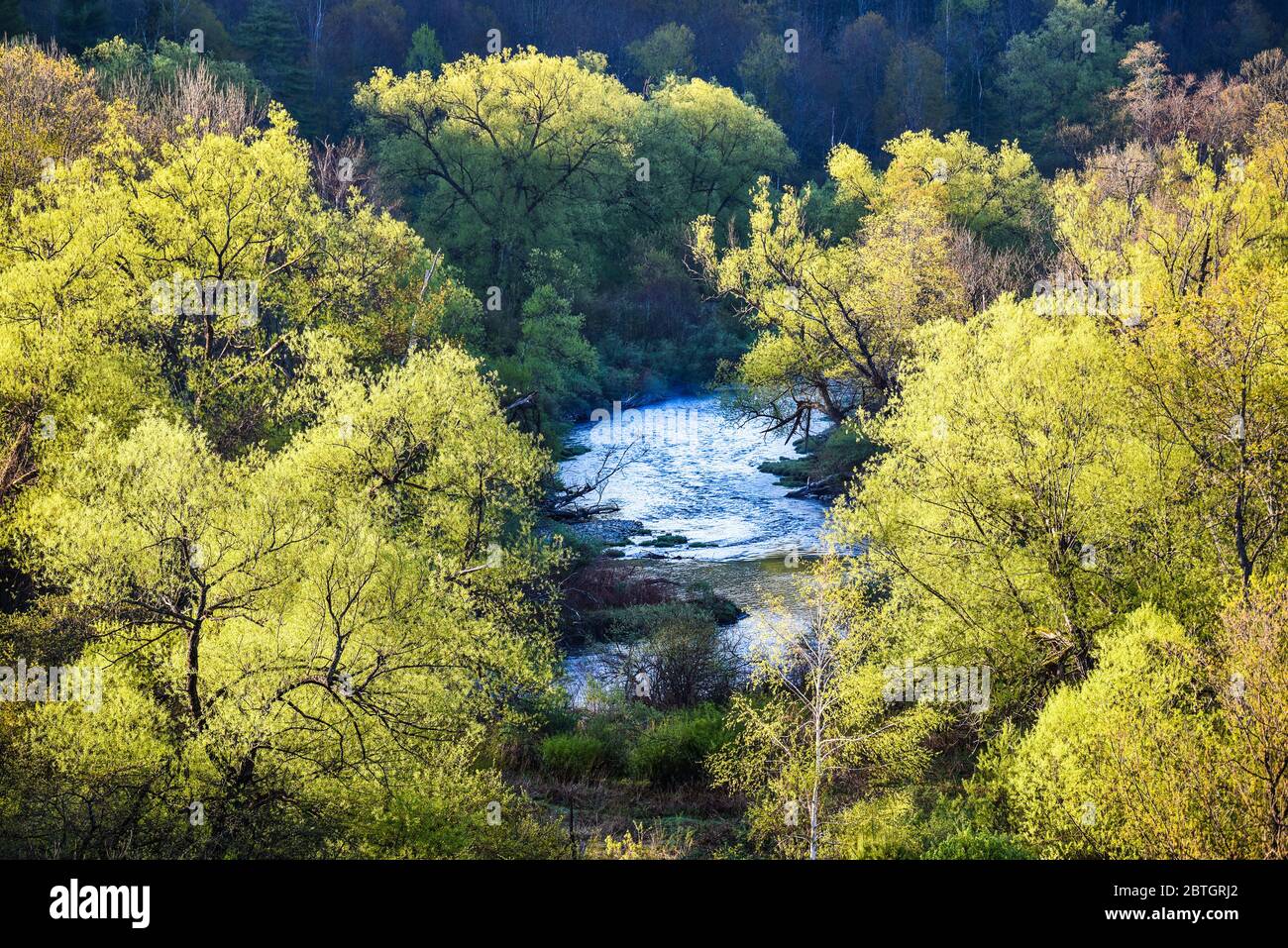 La primavera arriva al paesaggio rurale dello stato del Vermont, New England, USA, ramo settentrionale del fiume Winooski. Foto Stock