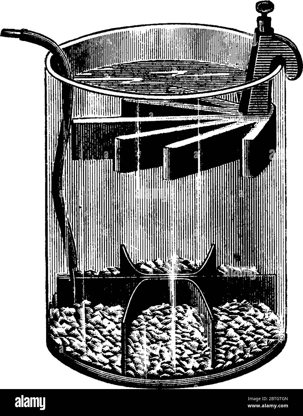 Dichiara che le particelle presenti in una cella diventano proporzionalmente più grandi con la dimensione crescente della cella, disegno di linea vintage o incisione illustrat Illustrazione Vettoriale
