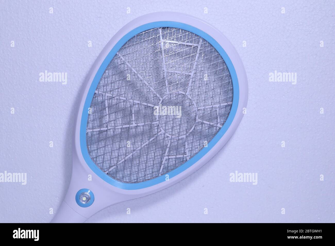 zanzara killer pipistrello su sfondo bianco Foto Stock