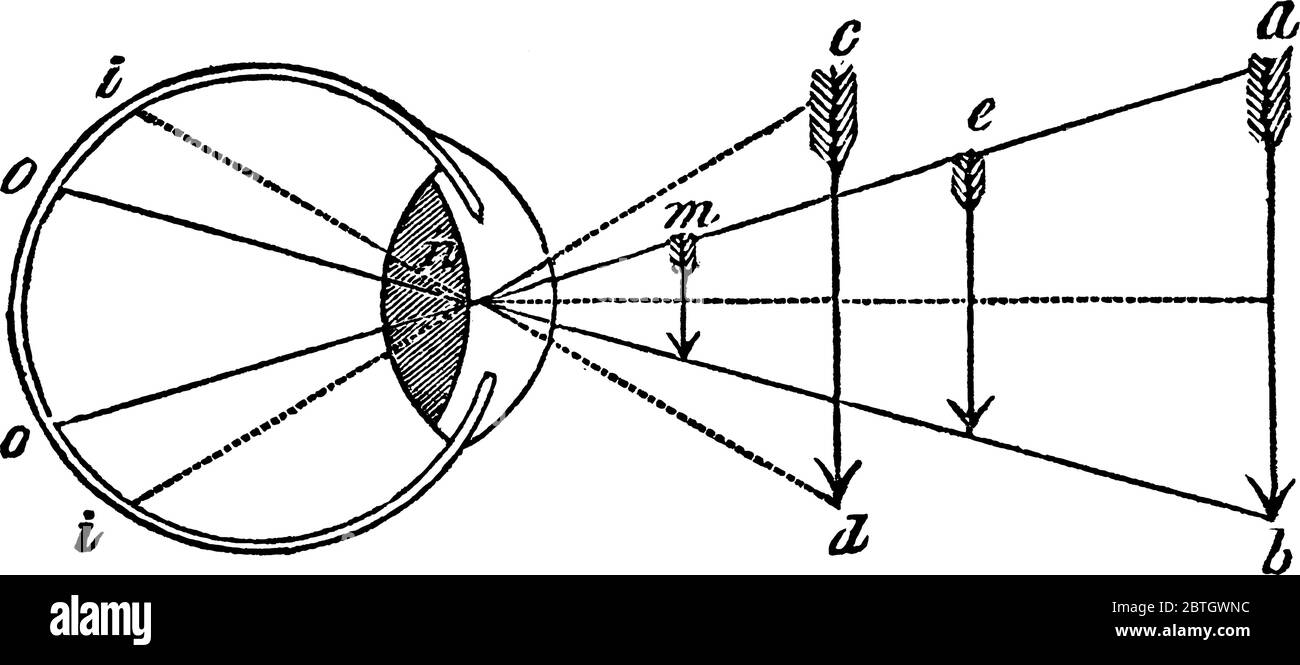 Afferma che l'angolo sotto il quale i raggi di luce, derivanti dalle estremità di un oggetto, si incrociano a livello dell'occhio, è in proporzione diretta Illustrazione Vettoriale