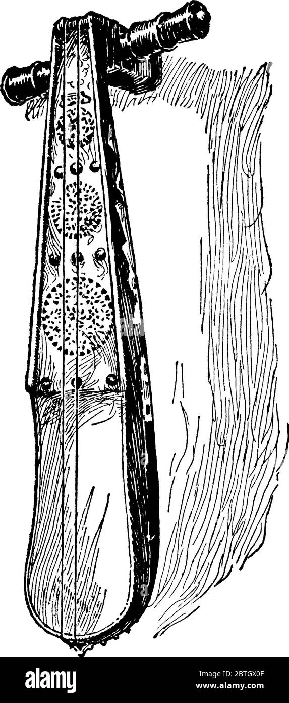 Il ribab, uno strumento a corda originario del Medio Oriente. Di solito ci sono due o tre stringhe. Qui sono mostrate le varietà spiked che devono essere Illustrazione Vettoriale