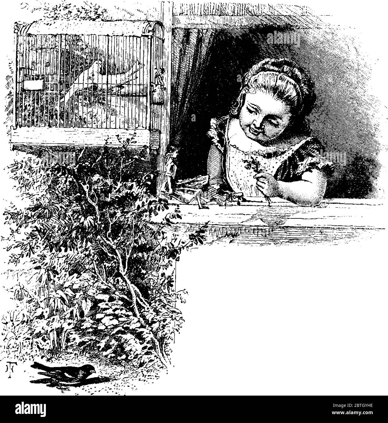 Bambina guardando Bird mangiare grano seme attraverso finestra., disegno di linea vintage o incisione illustrazione. Illustrazione Vettoriale