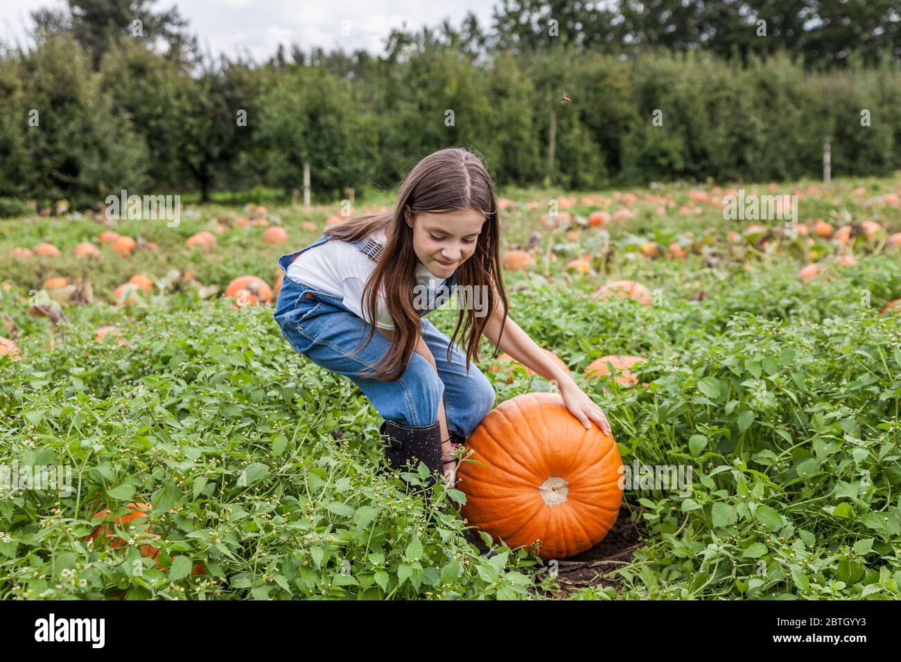 Carina bambina con zucca enorme in un tegolo di zucca. Foto Stock