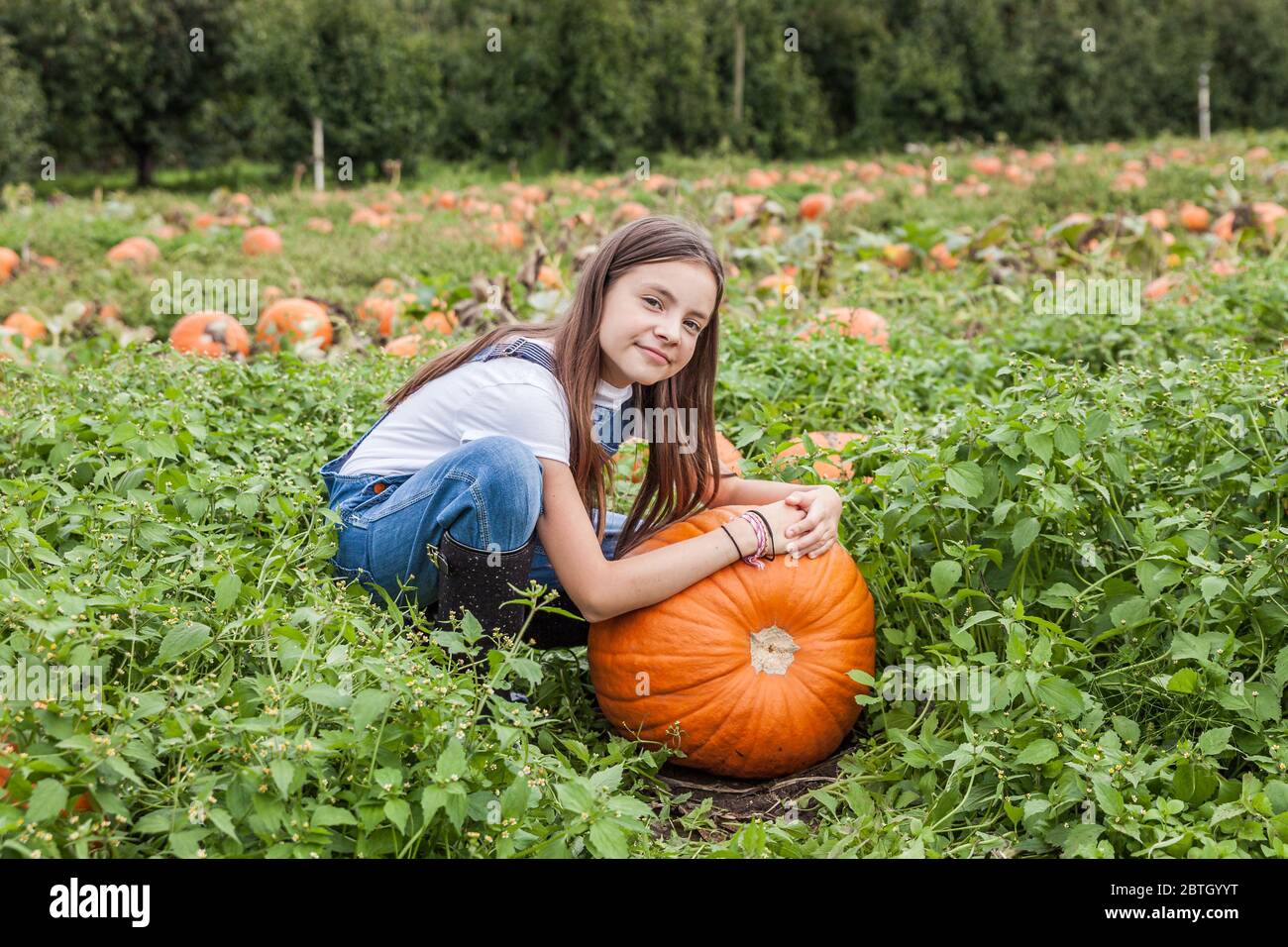 Carina bambina con zucca enorme in un tegolo di zucca. Foto Stock