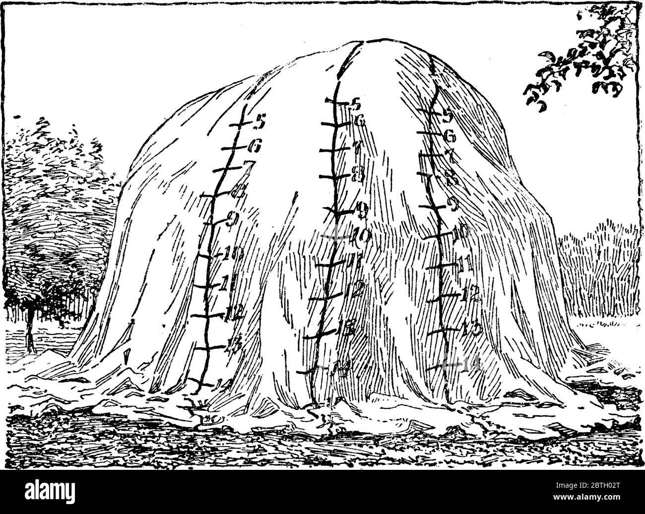 Immagine che mostra lo schema di tenda fumigante, disegno di linee vintage o illustrazione dell'incisione. Illustrazione Vettoriale