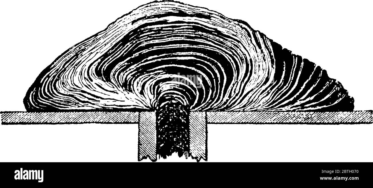 Illustrazione sperimentale del modo di formazione di coni vulcanici in blister composti da lave viscose, disegno di linee d'annata o incisione illustri Illustrazione Vettoriale