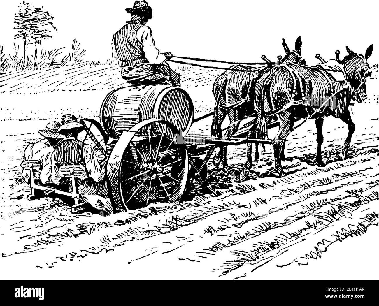 L'immagine mostra una macchina trapiantatrice. Imposta e infondono le piante con la stessa rapidità con cui il team tira la macchina lungo le file. Due uomini sui sedili a t Illustrazione Vettoriale