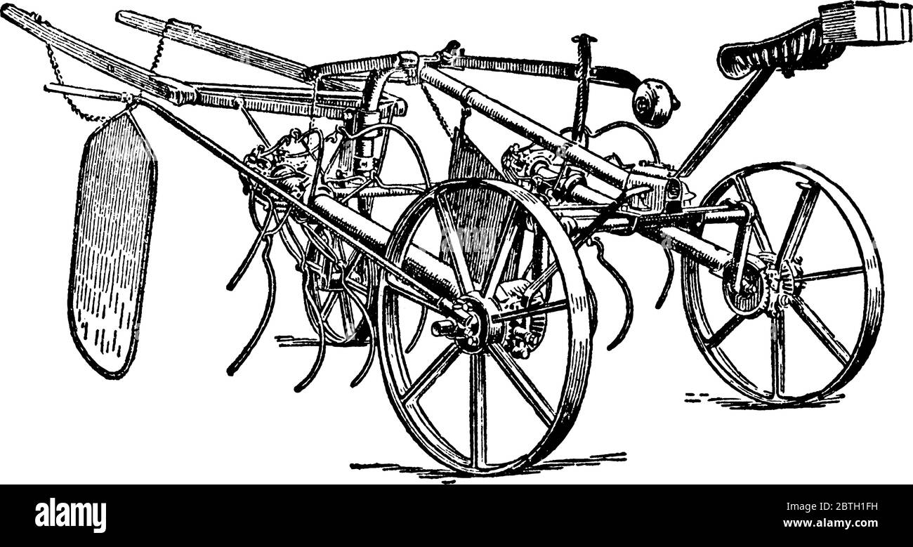 Un'andanatrice, un disegno di linea vintage o un'illustrazione di incisione. Illustrazione Vettoriale