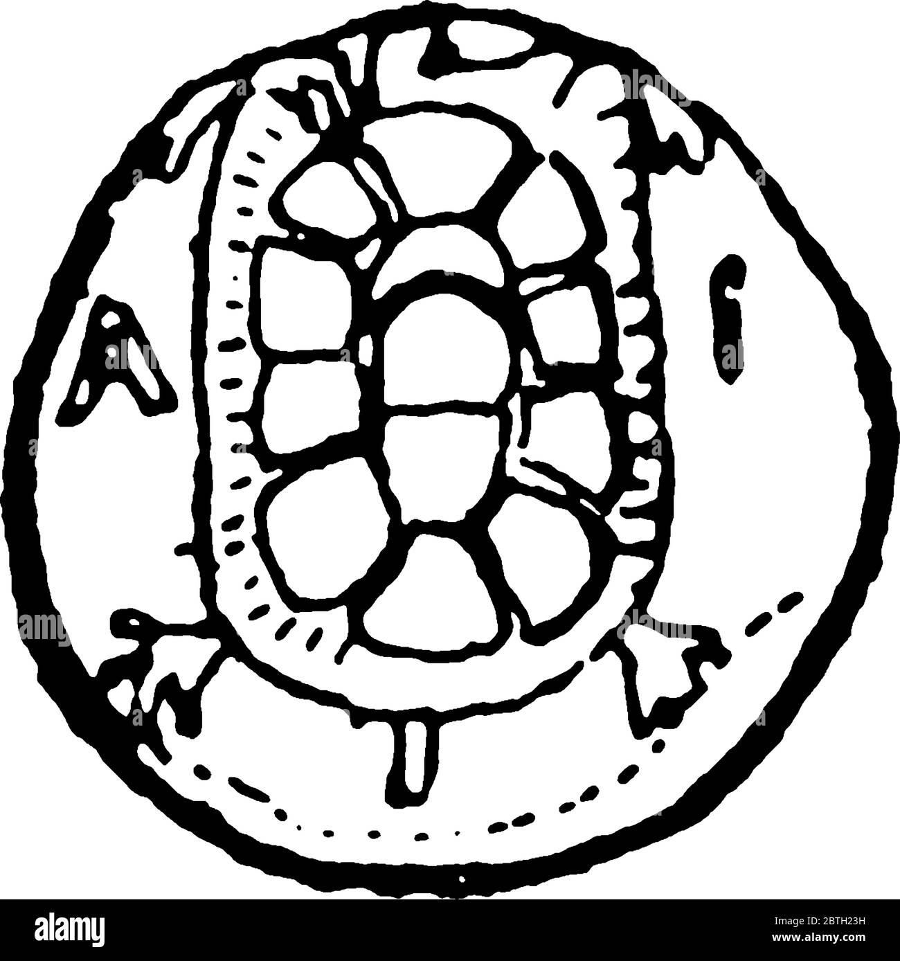 Viene mostrata la stazione AEGINA Silver con tartaruga. AEGINA è stata la prima città-stato greca ad emettere monete, disegni di linee d'epoca o illustrazioni di incisione. Illustrazione Vettoriale