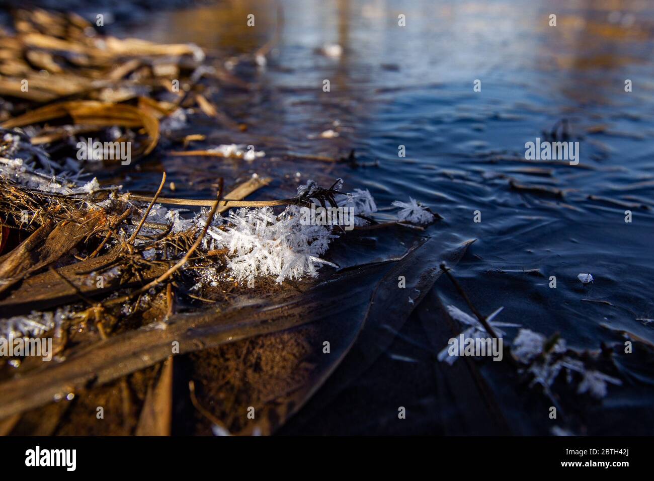 paesaggio invernale con canne e vista sulla città Foto Stock