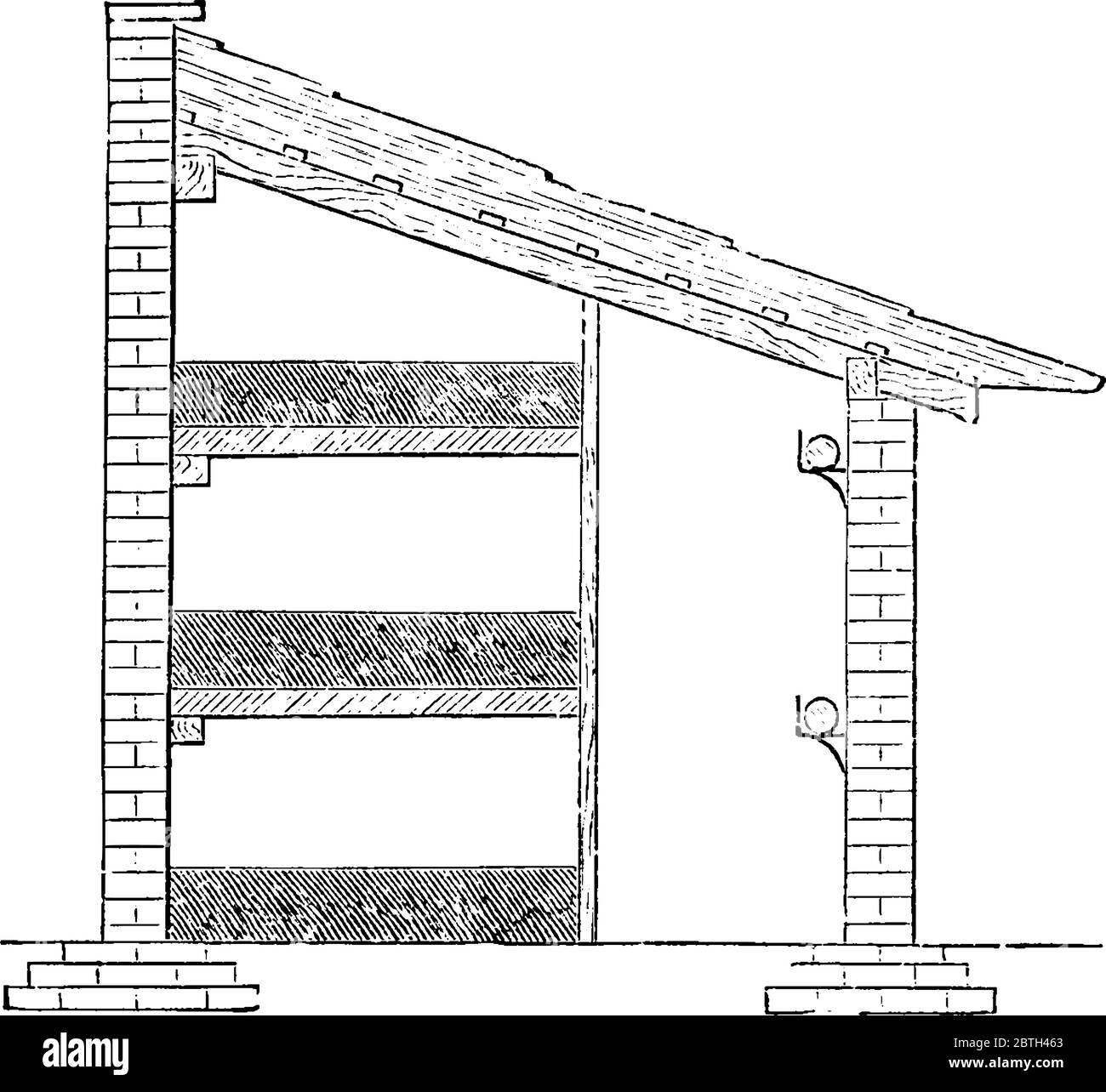 Sezione di magra a casa di fungo dove tre letti sono posti uno sopra l'altro, disegno di linea vintage o illustrazione di incisione. Illustrazione Vettoriale