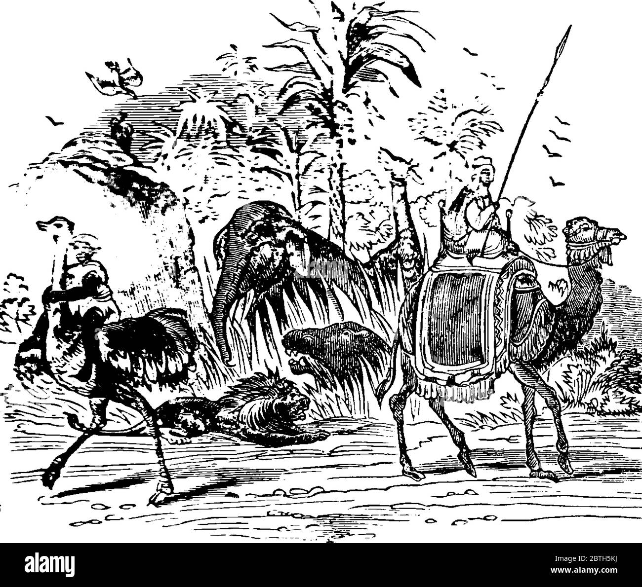 Una rappresentazione tipica di una vista panoramica della fauna nativa o degli animali provenienti dall'Africa, disegno di linee d'annata o illustrazione dell'incisione Illustrazione Vettoriale