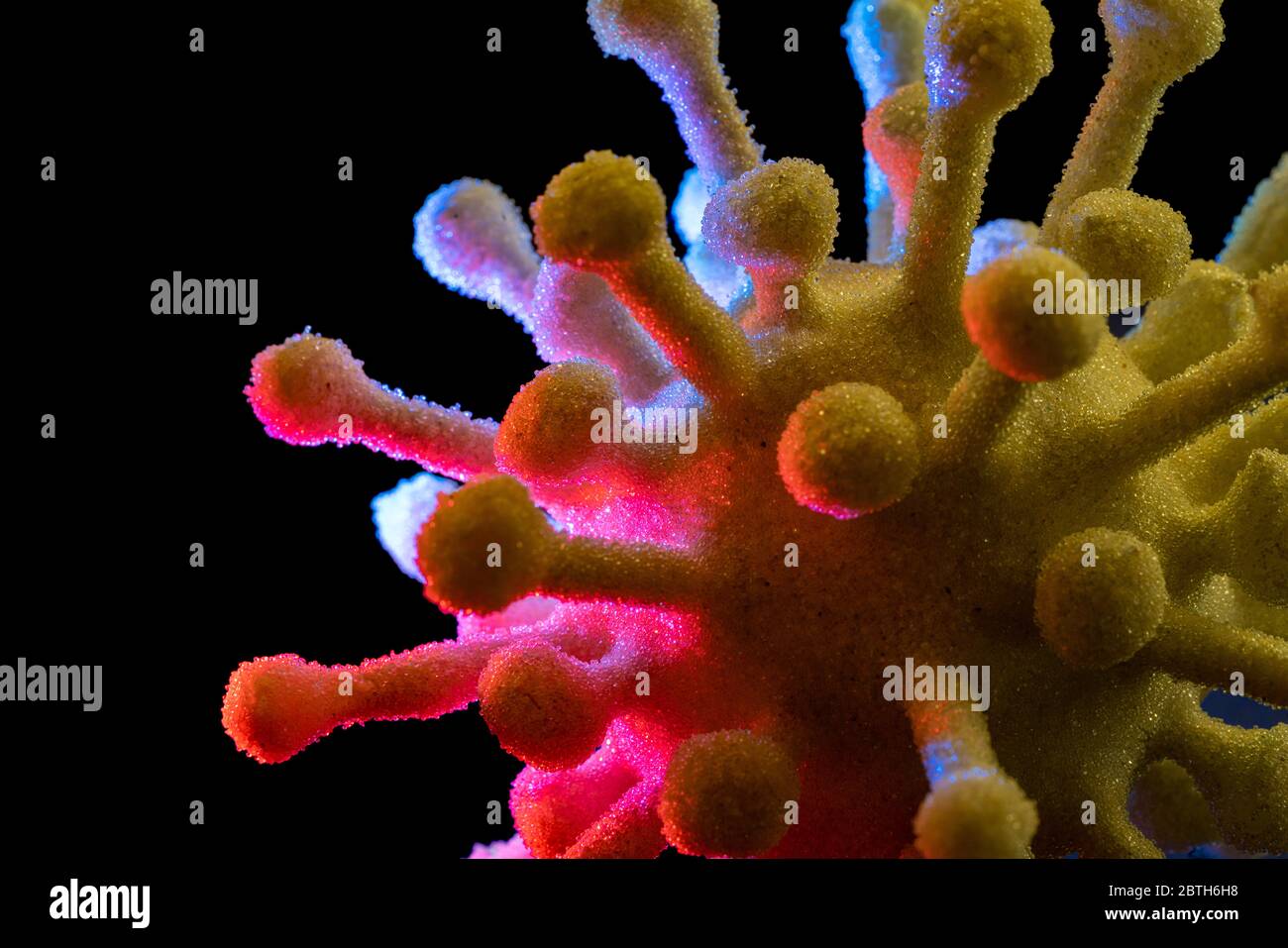 dettaglio di un colorato virus simbolico illuminato nel buio posteriore Foto Stock