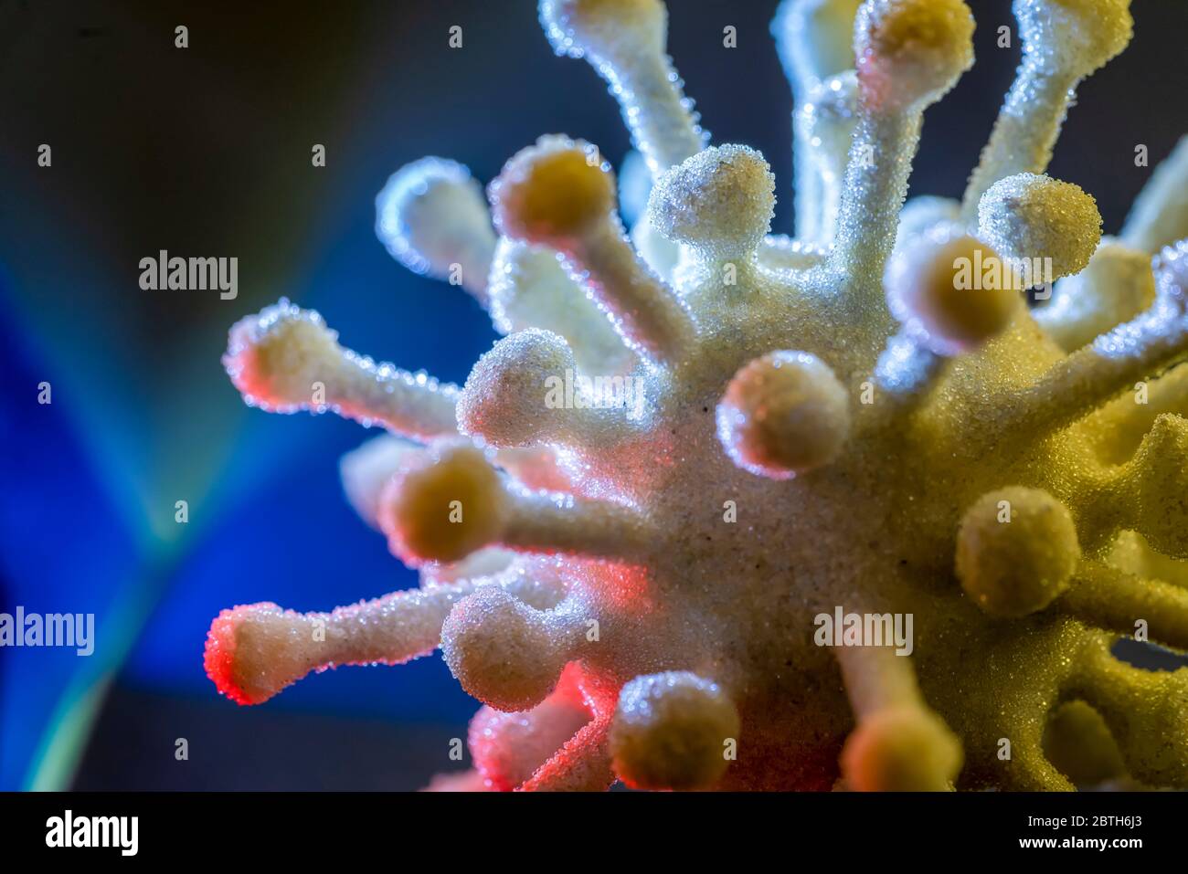 dettaglio di un colorato virus simbolico illuminato nel buio posteriore Foto Stock