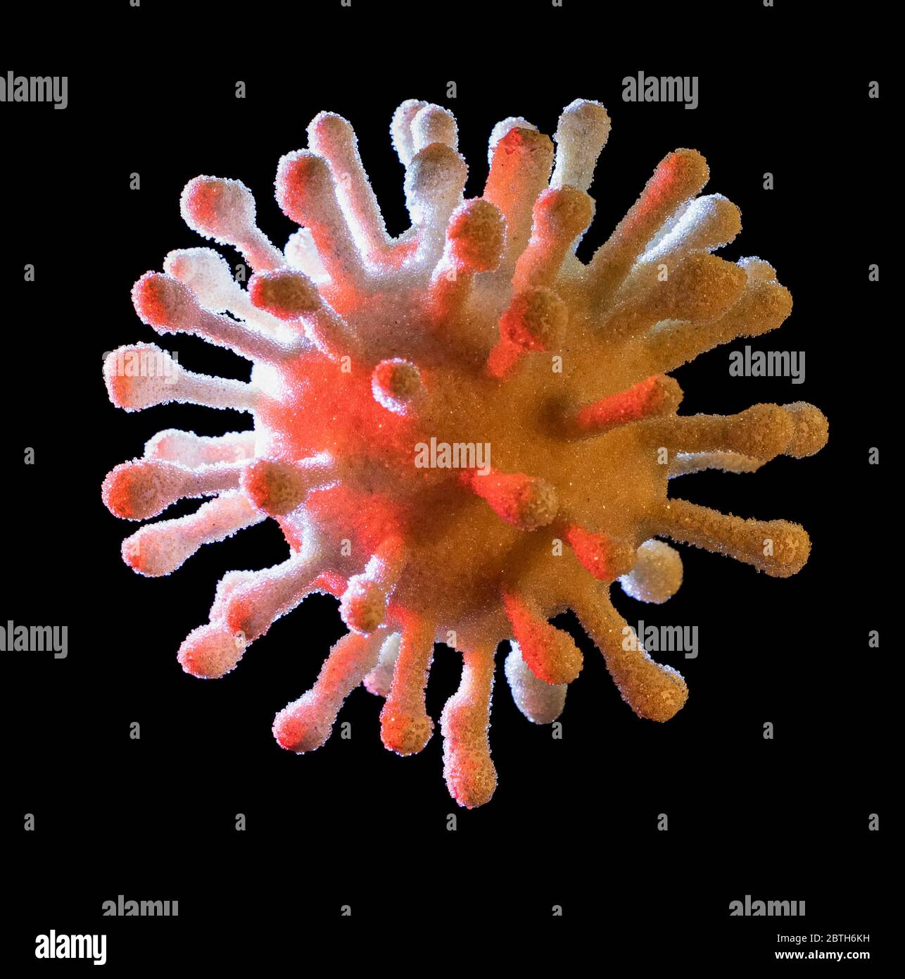 un virus simbolico illuminato colorato nel dorso scuro Foto Stock