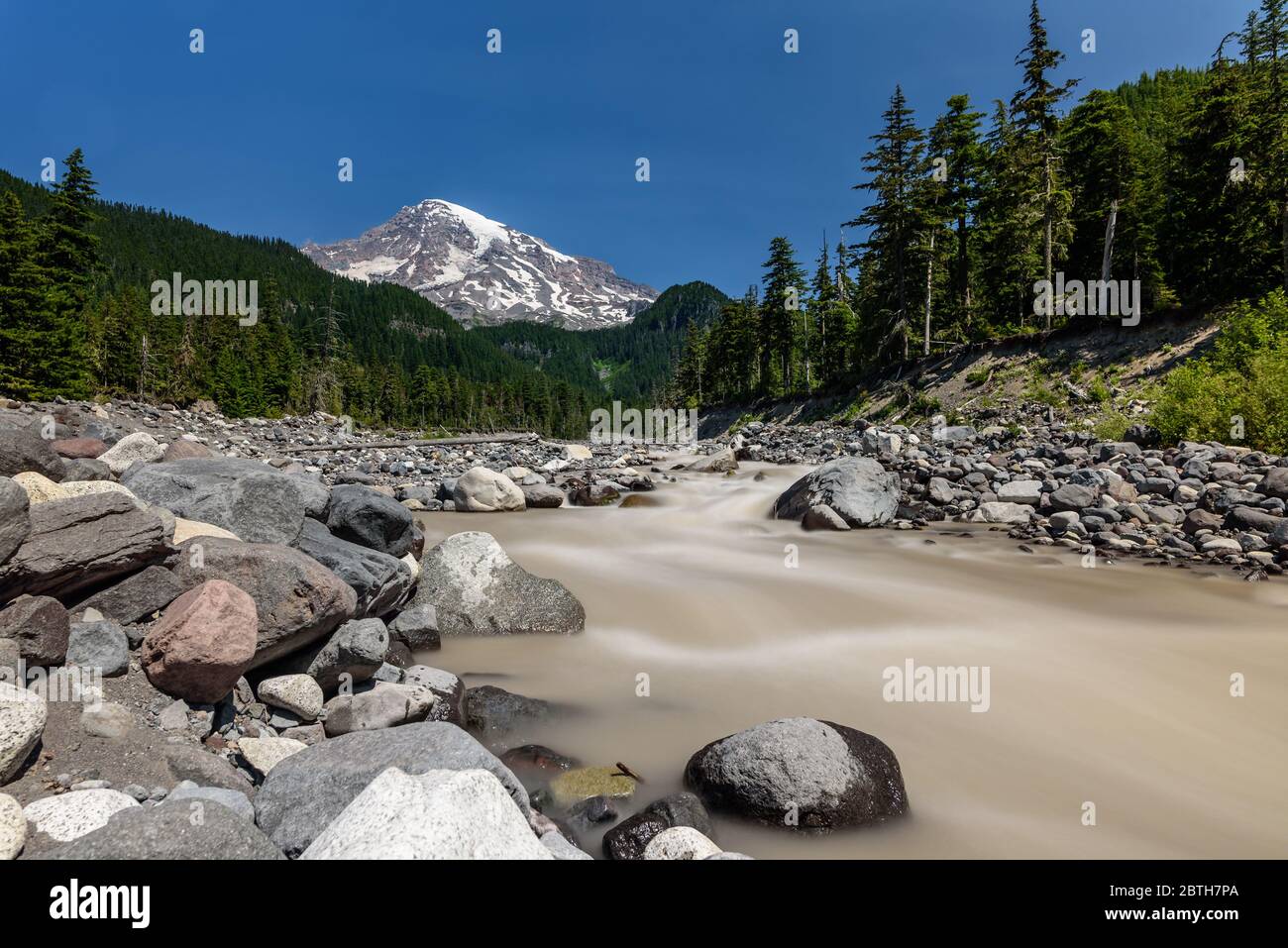 Mount Rainier, Washington state, in estate. Il fiume Nisqually scorre velocemente lungo il letto del fiume in una giornata luminosa e soleggiata Foto Stock