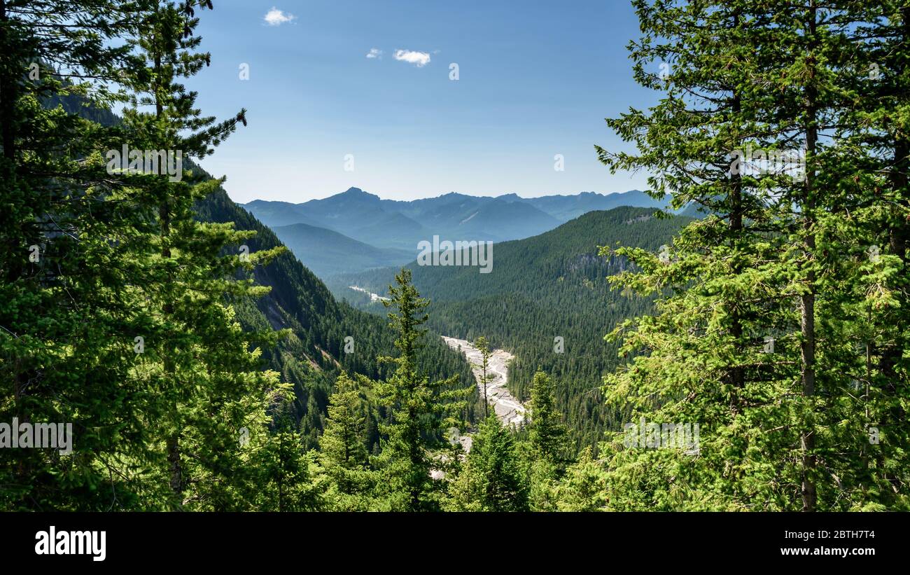 Vista panoramica del letto del fiume Nisqually, in estate, attraversando il paesaggio nel Mount Rainier National Park, Washington state, America Foto Stock