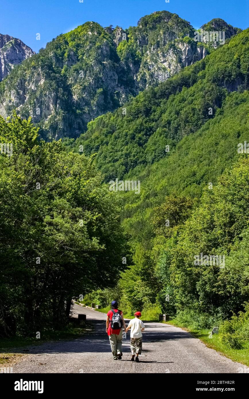 Italia Abruzzo - Parco Nazionale d'Abruzzo - Monte Marsicani - Monte Camosciara, passeggiata a cavallo Foto Stock