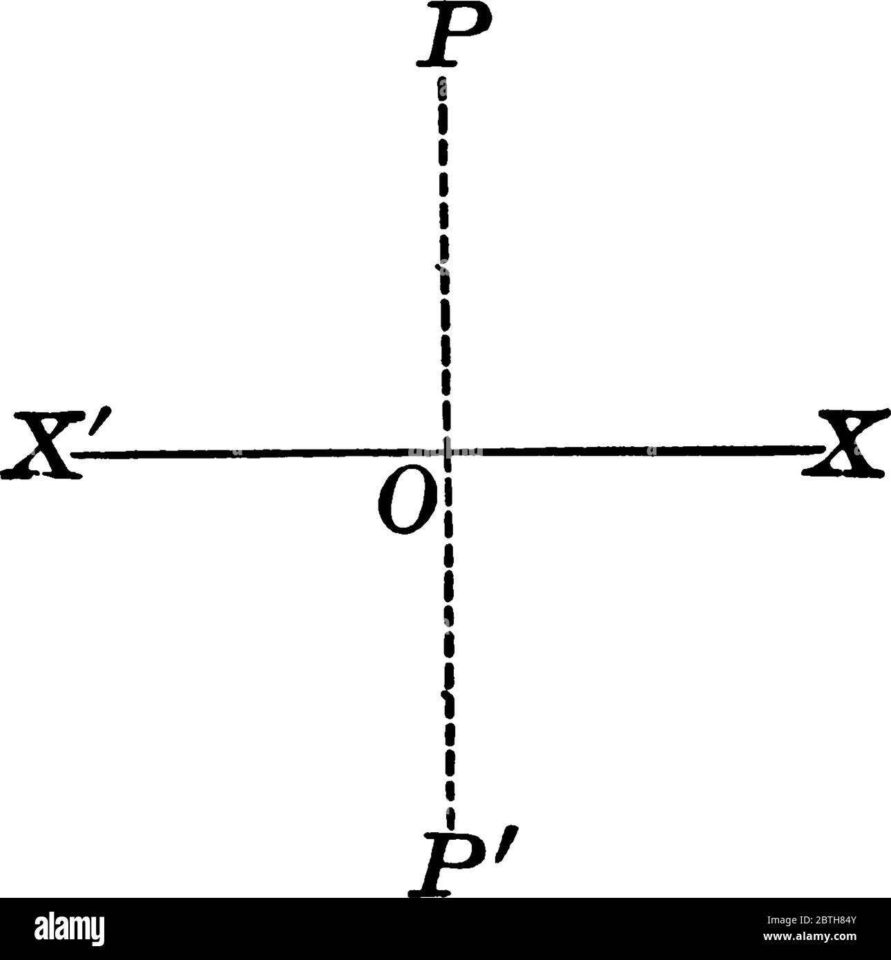 Una linea di simmetria per un grafico che divide il grafico in due metà perfette, un disegno con linee vintage o un'illustrazione dell'incisione. Illustrazione Vettoriale