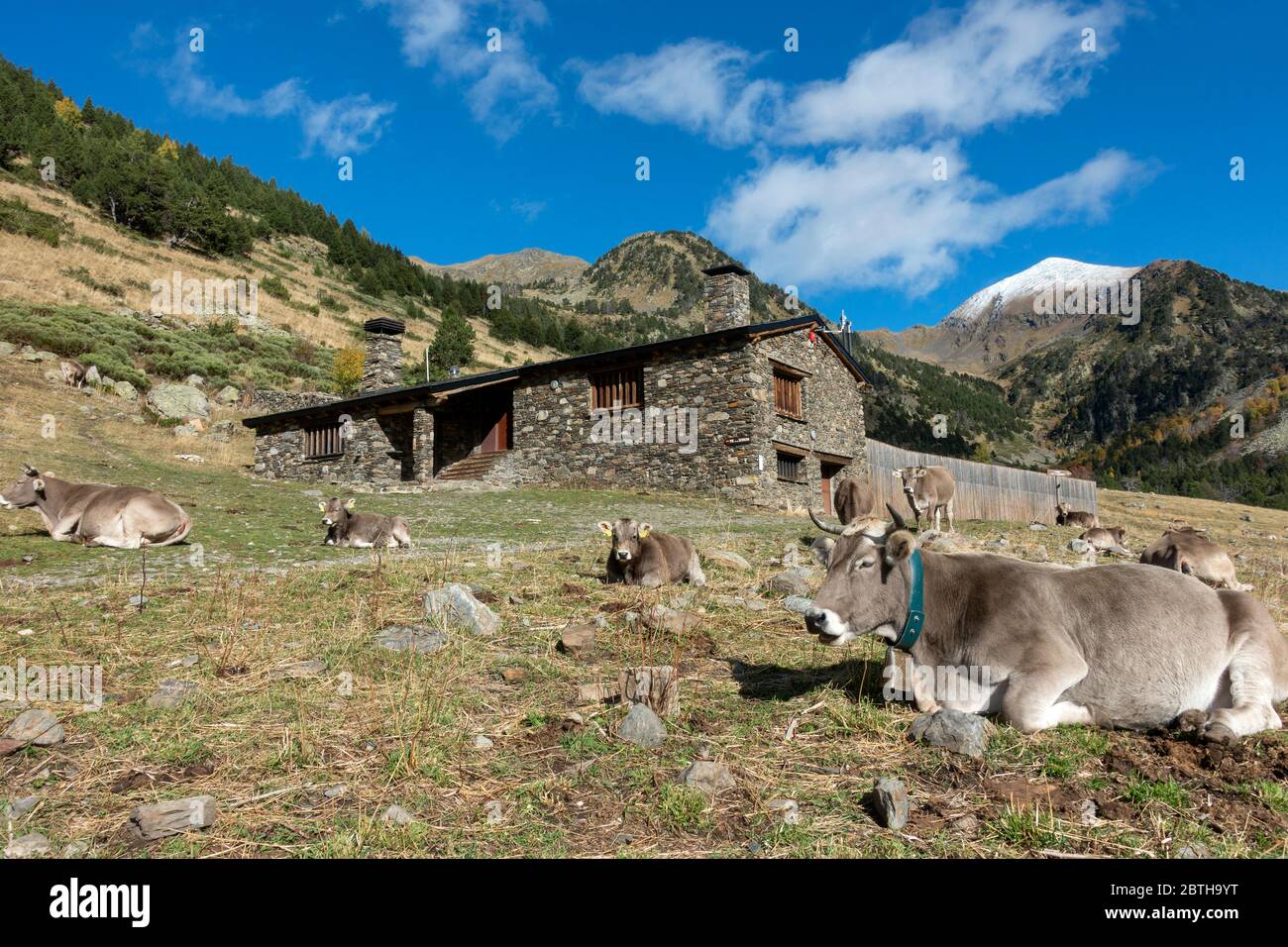 Sorteny rifugio di montagna.Ordino.Andorra Foto Stock