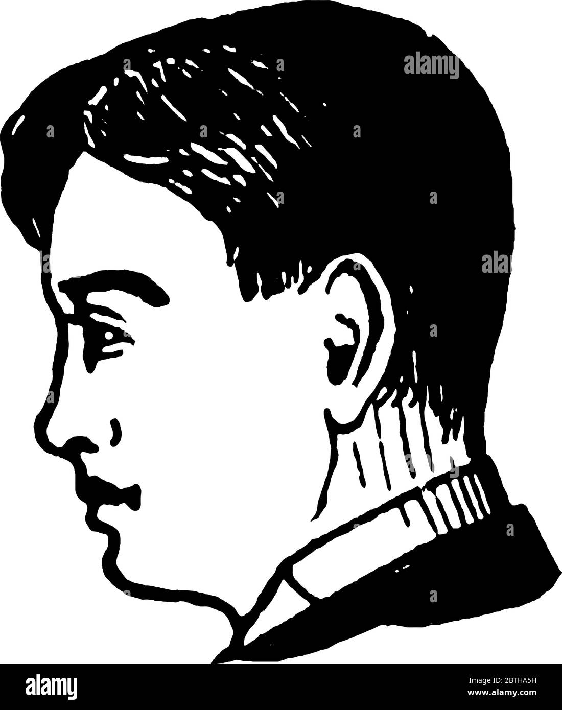 Immagine del profilo dell'uomo per la rasatura pulita rivolto verso sinistra, disegno di linee vintage o illustrazione dell'incisione. Illustrazione Vettoriale