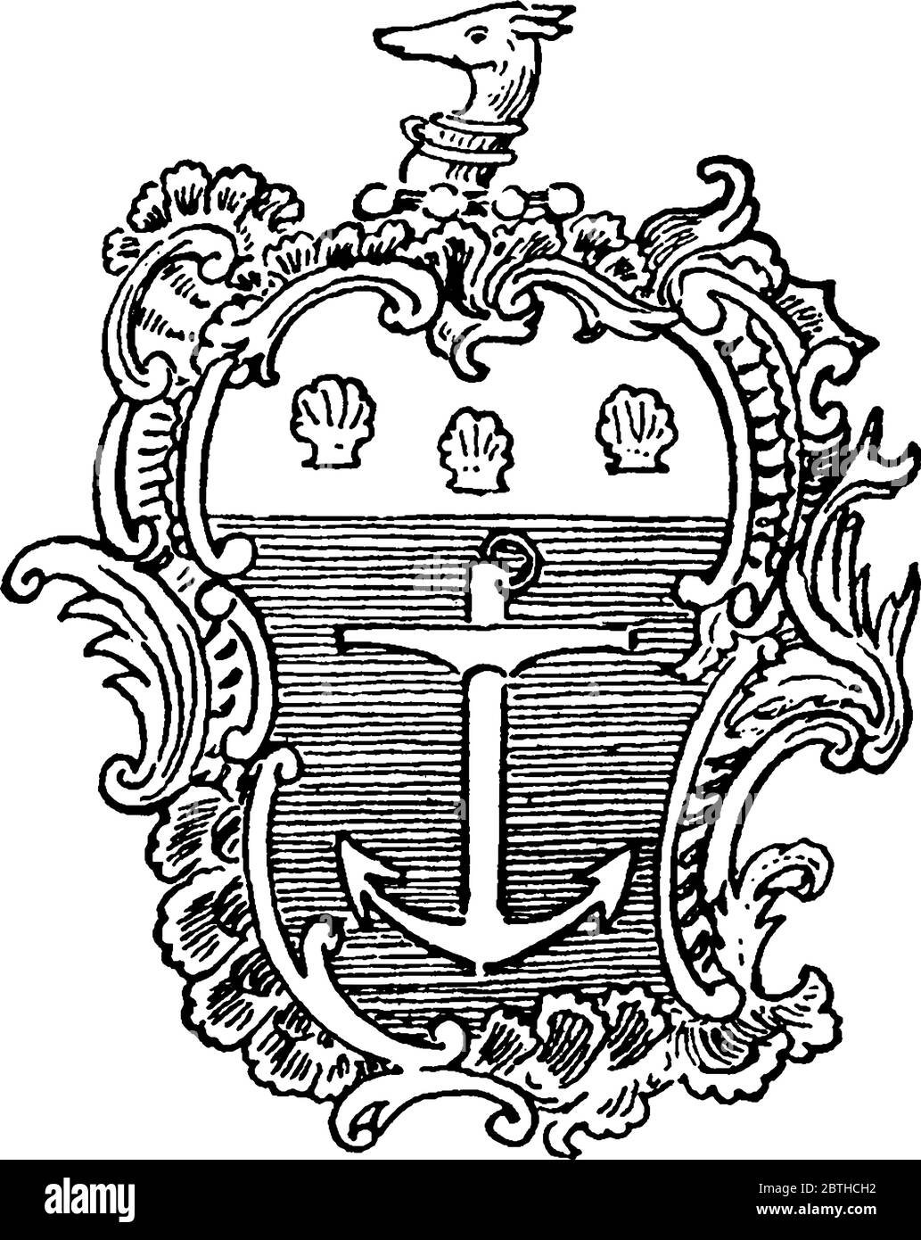 Rocaille coquille, ornamento di placchette in varie forme del capesante su rockwork, disegno di linea vintage o illustrazione di incisione. Illustrazione Vettoriale