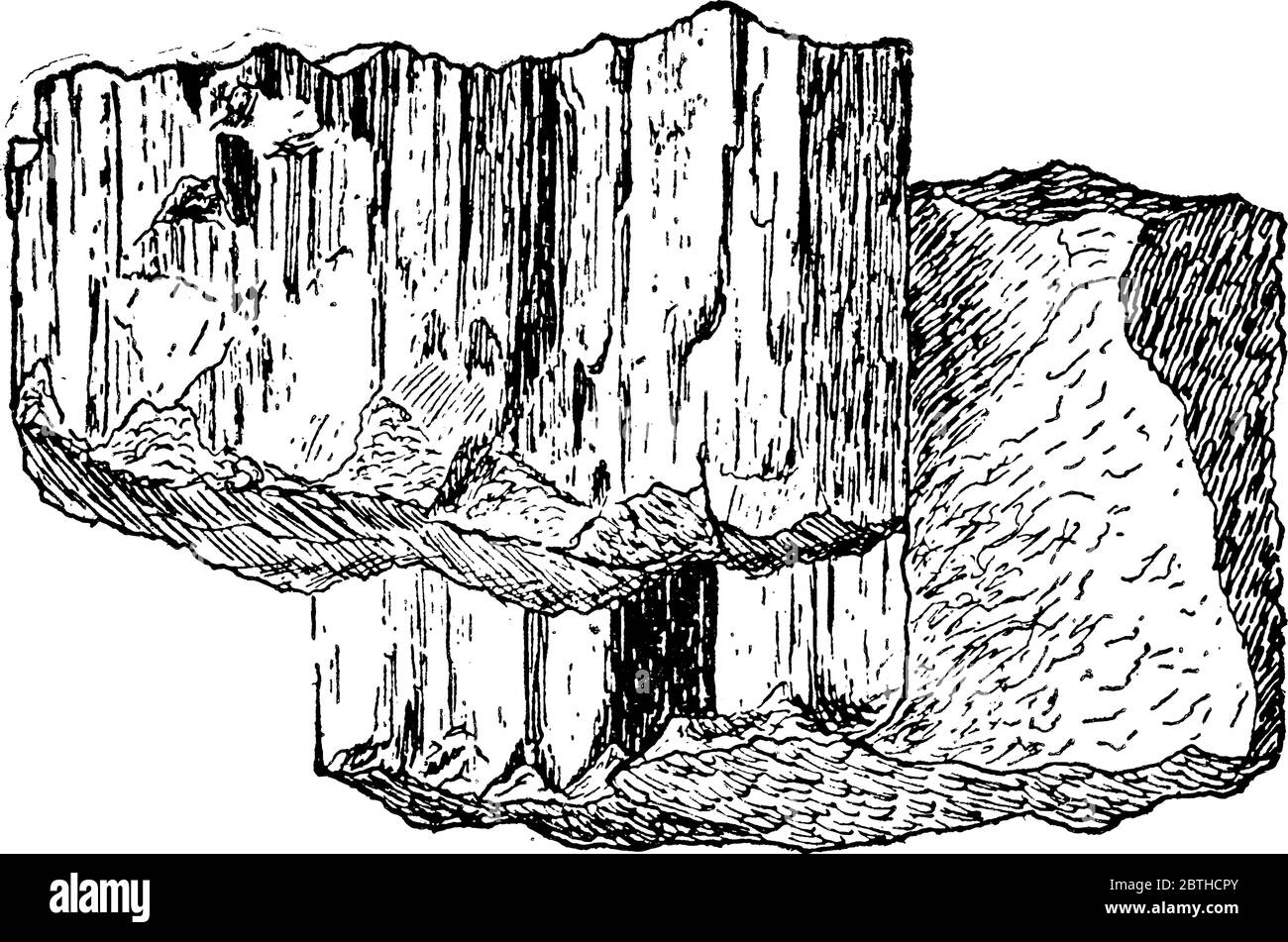 Stylolite sulla roccia, gli stiliti sono superfici dentellate all'interno di una massa rocciosa alla quale il materiale minerale è stato rimosso mediante dissoluzione a pressione, lin vintage Illustrazione Vettoriale