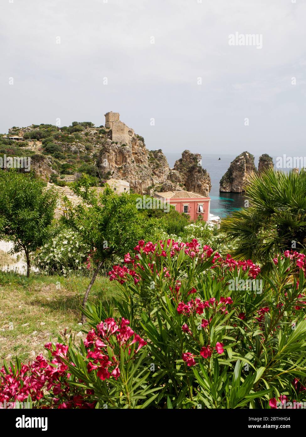 fiori in fiore e verde con il tonnar di scopello sullo sfondo del mediterraneo Foto Stock