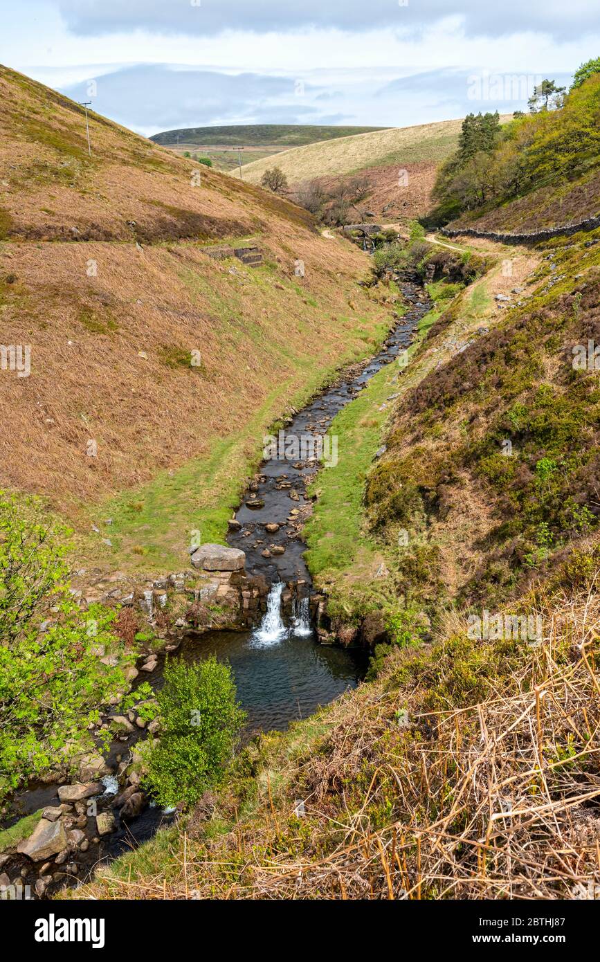 Cascata River Dane, Peak District National Park, Stafford-shire, Inghilterra, Regno Unito Foto Stock