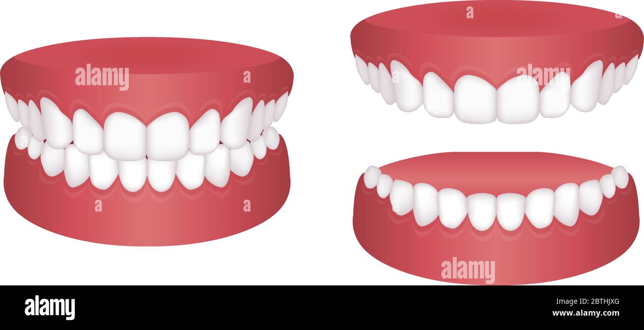 Set di illustrazioni vettoriali a denti normali Illustrazione Vettoriale