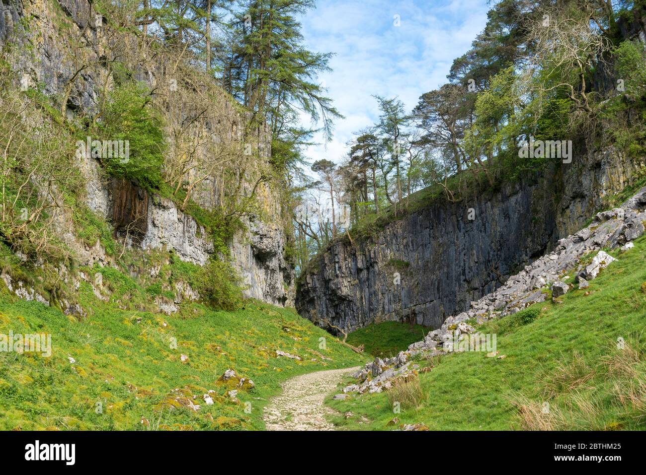 Trow Gill, una spettacolare gola glaciale dell'acqua di meltwater lungo il sentiero da Clapham alla cima di ingleborough nelle valli dello Yorkshire Foto Stock