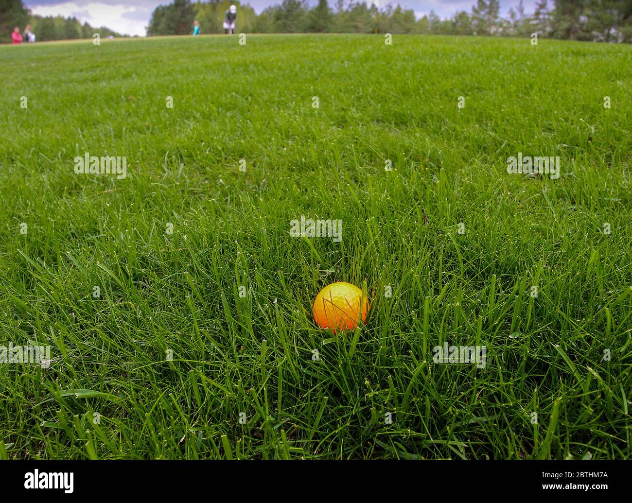 la sfera di golf con un driver nella scatola del t Foto Stock