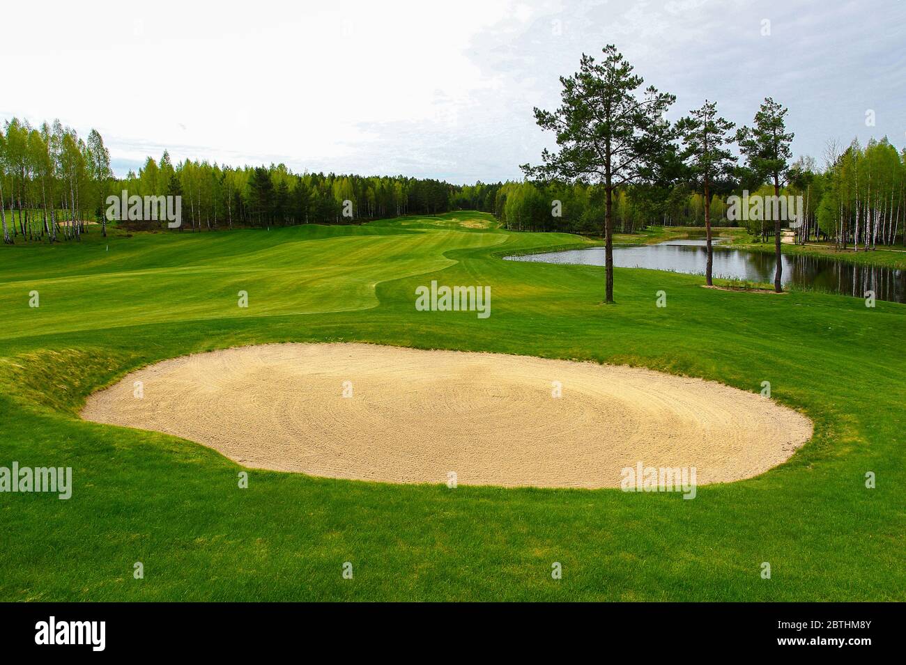 la sfera di golf con un driver nella scatola del t Foto Stock