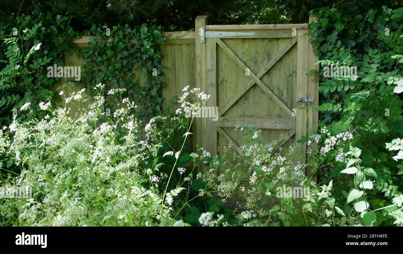 Misterioso cancello giardino di aspetto circondato da fogliame e sottobosco Foto Stock
