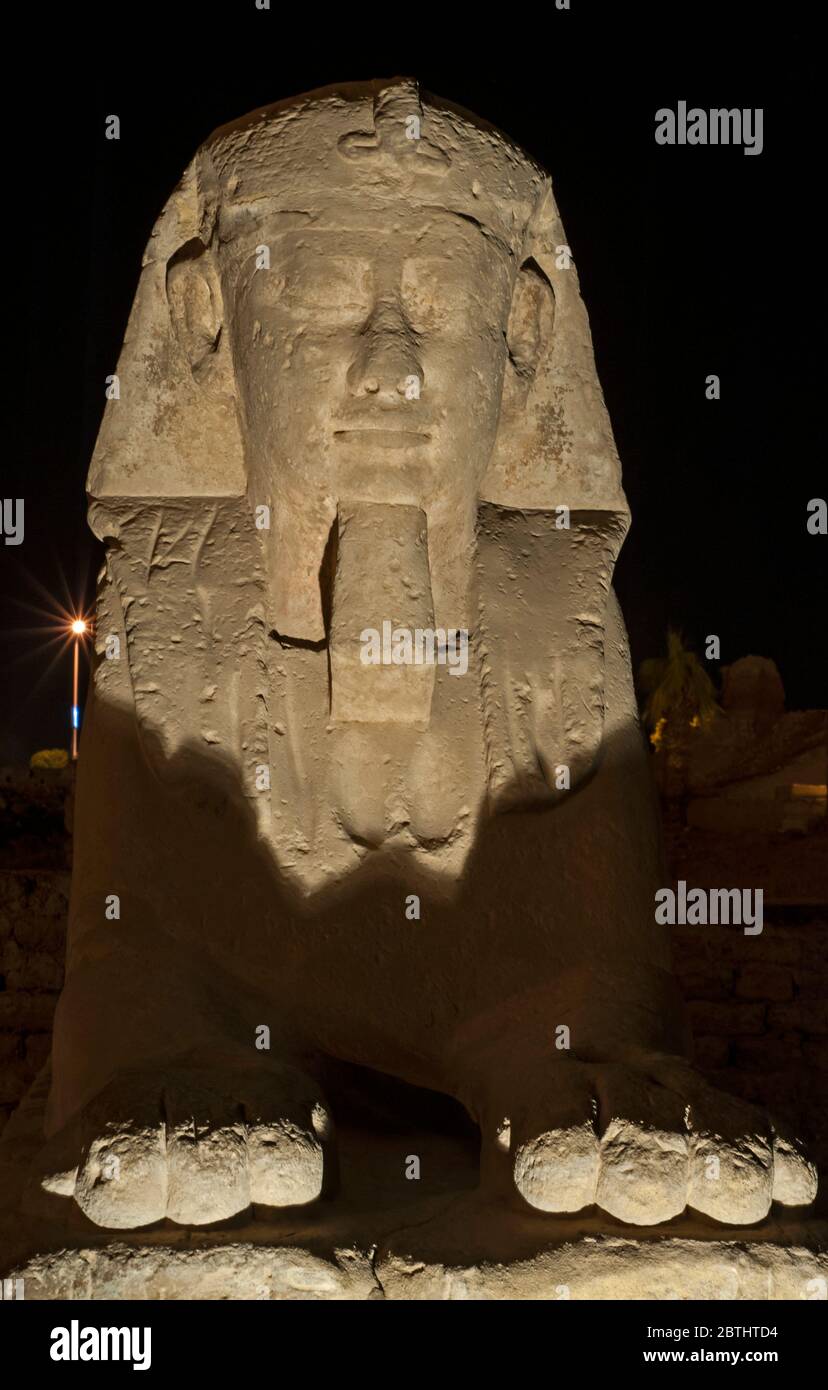 Antica sfinge di pietra egiziana illuminata di notte al tempio di Luxor Foto Stock