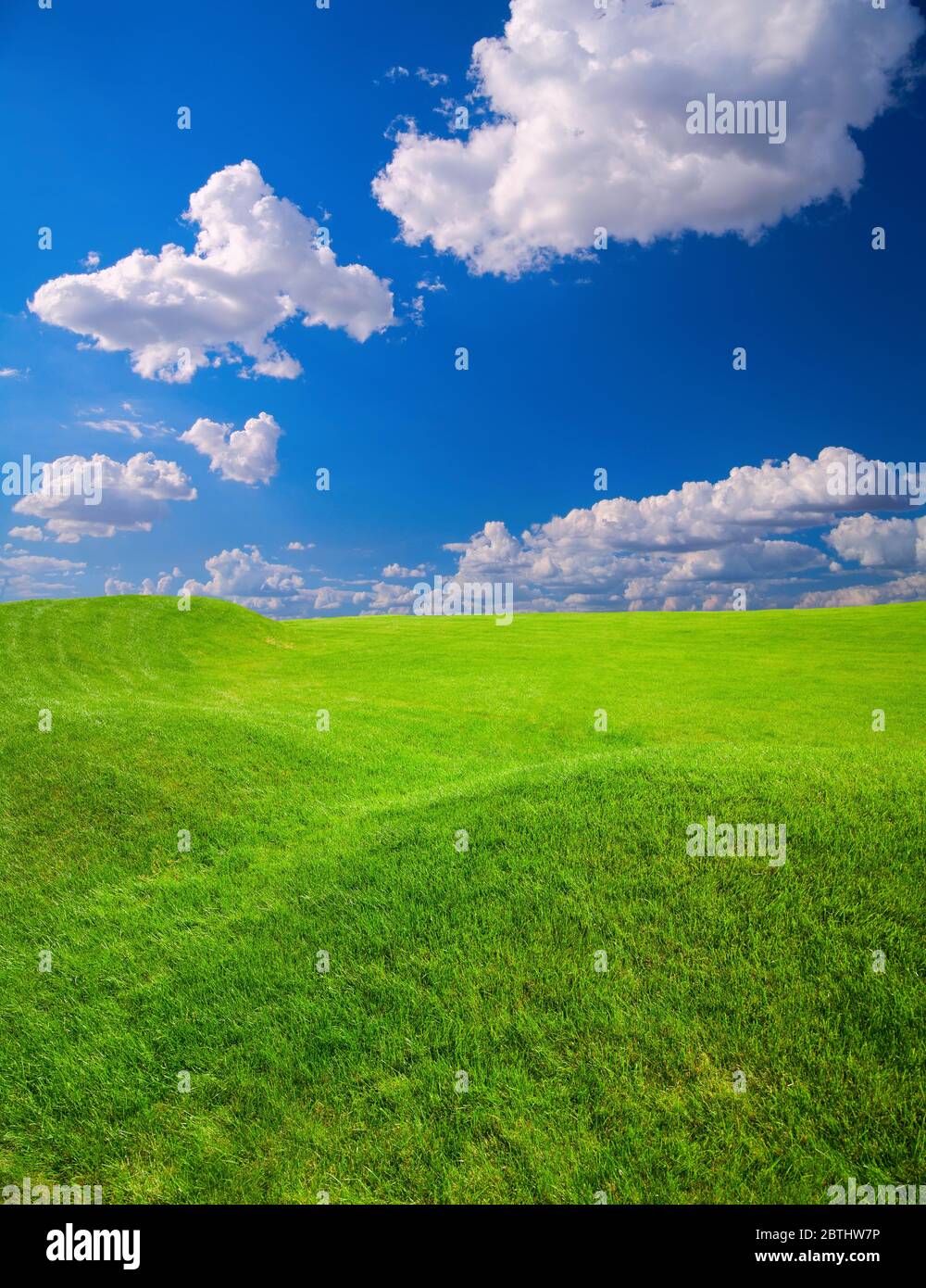 Erba verde campo su piccole colline e cielo blu con nuvole Foto Stock