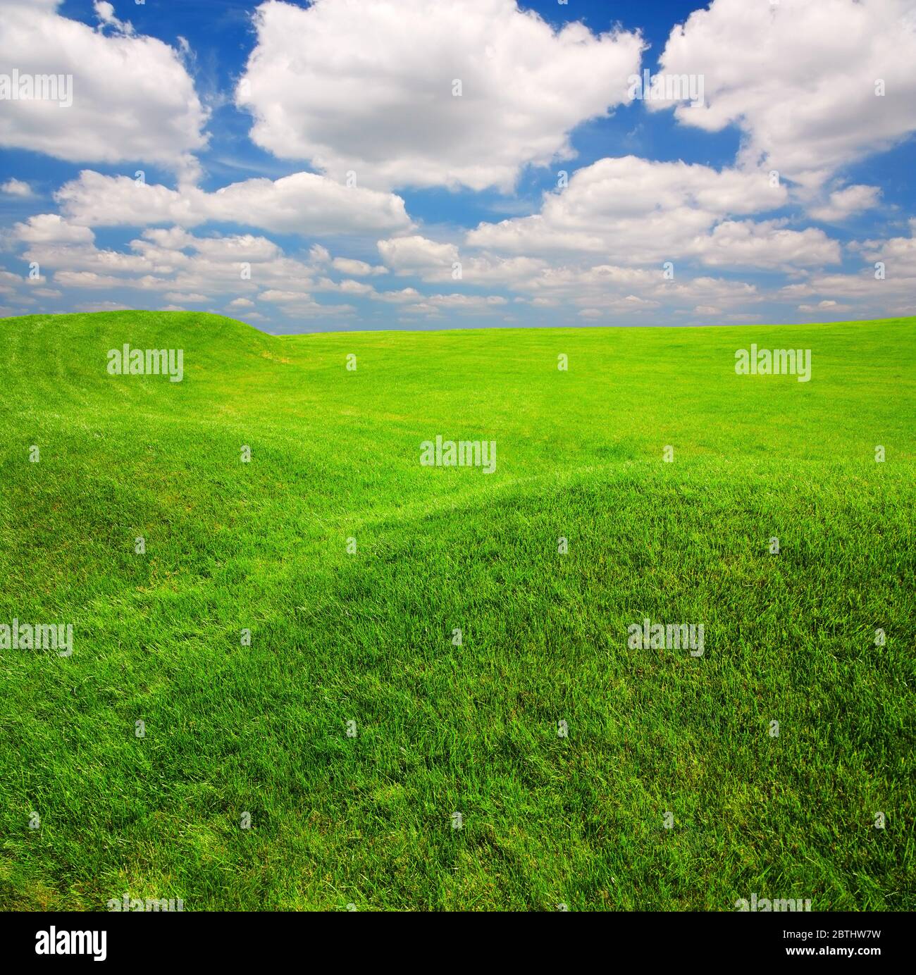 Erba verde campo su piccole colline e cielo blu con nuvole Foto Stock