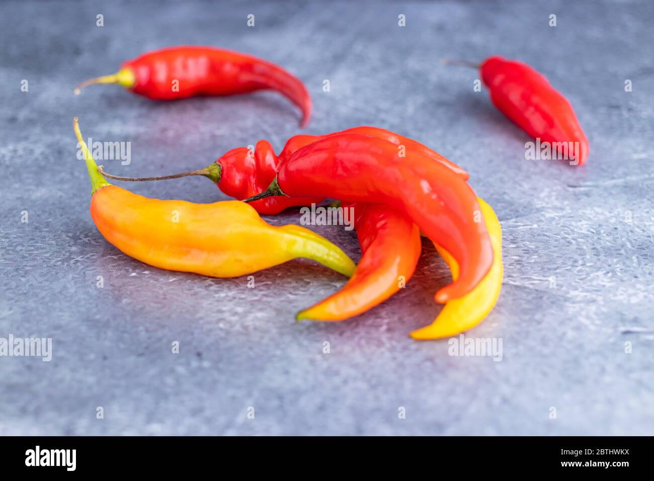 Presentazione del peperoncino rosso caldo peruviano (Aji Limo) Foto Stock
