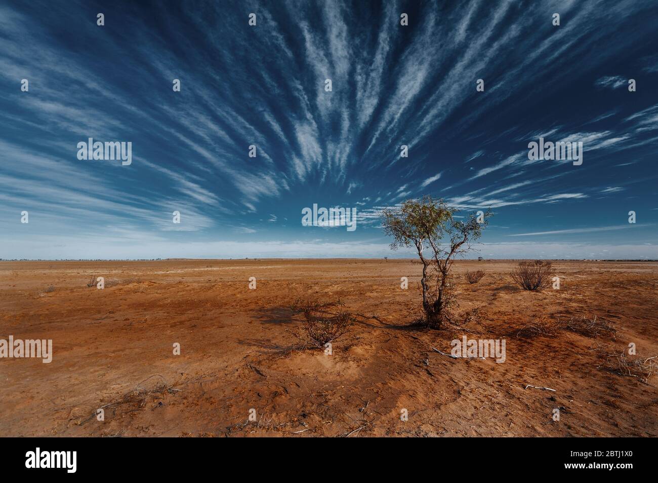 Pianura desertica in Australia centrale. Foto Stock