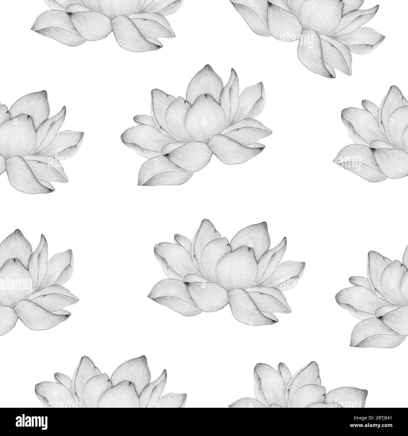 sfondo floreale senza cuciture con fiore di loto in disegno a matita, motivo floreale semplice ed elegante per tessuti, progetti di avvolgimento o sfondi Foto Stock