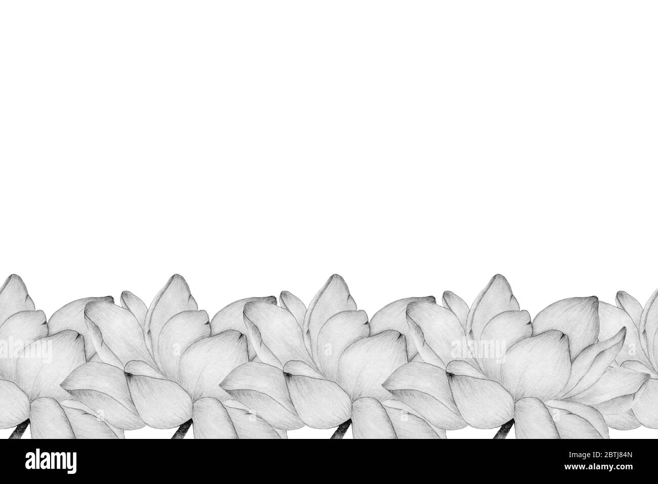 bordo ornamentale senza cuciture con fiore di loto in disegno a matita, elegante decorazione floreale con giglio d'acqua e spazio per la copia Foto Stock