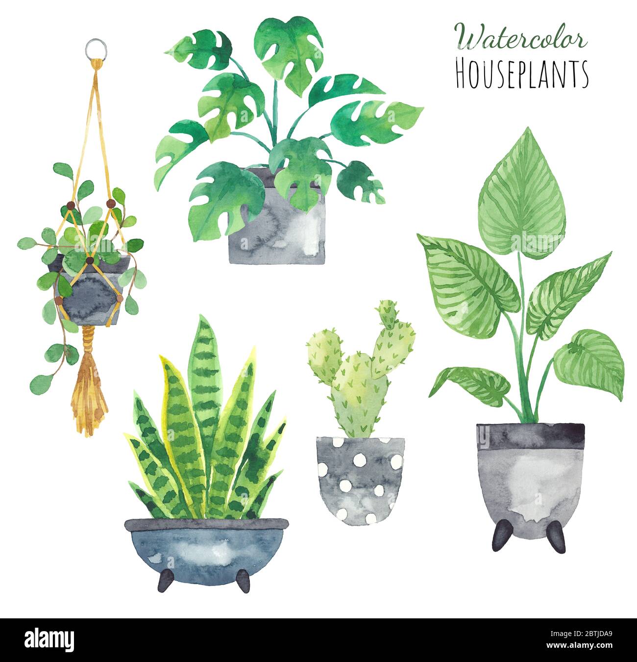 Set piante da casa in pentole dipinte in acquerello. Elementi freschi isolati su sfondo bianco. Set di piante in vaso Foto Stock