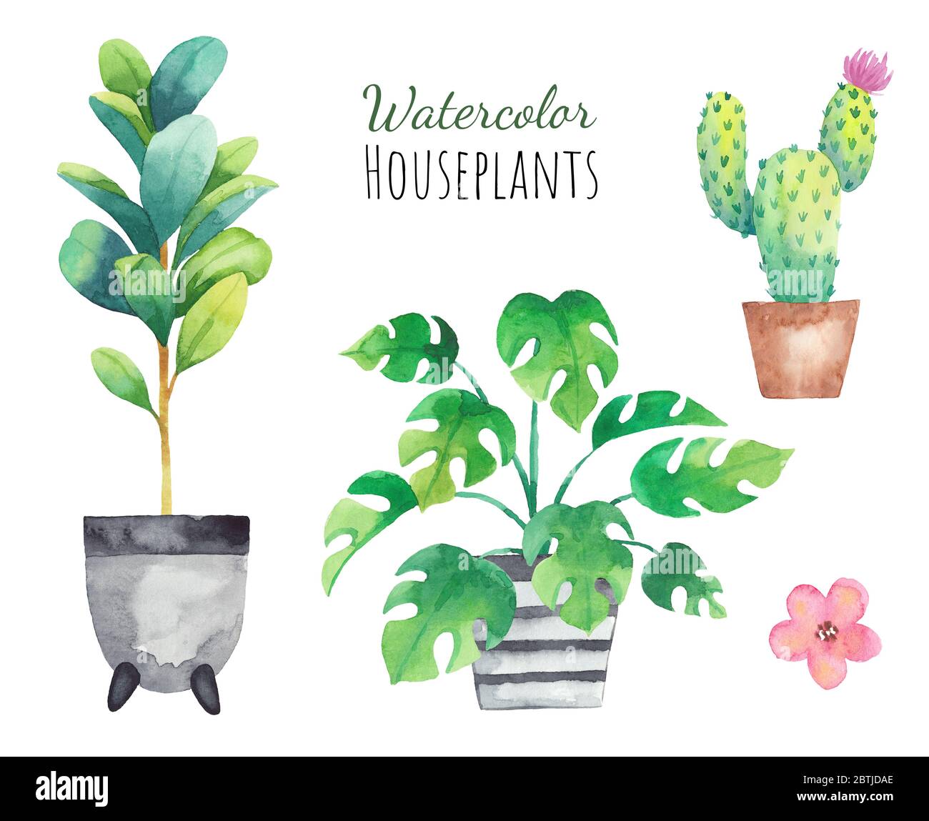 Set piante da casa in pentole dipinte in acquerello. Elementi freschi isolati su sfondo bianco. Set di piante in vaso Foto Stock
