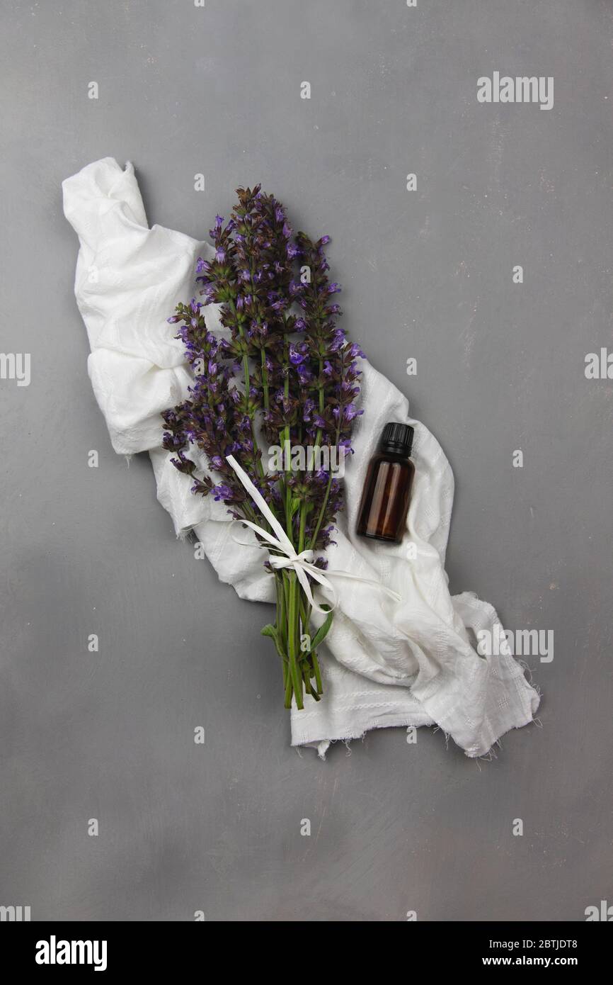 Bottiglia di vetro ambrato scuro piena di olio essenziale e fiori di salvia, zona salvia, per aromaterapia piatto posare su tessuto bianco e fondo grigio Foto Stock