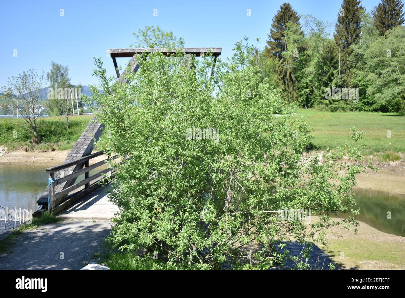 Vecchio ponte di legno sul Sihlsee in Svizzera Foto Stock