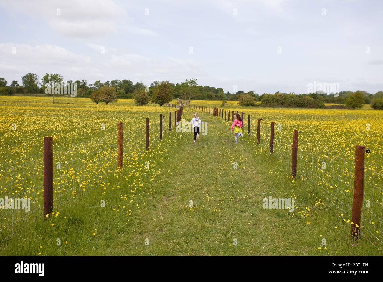 Bambini che corrono sul percorso nel prato buttercup, Regno Unito Foto Stock