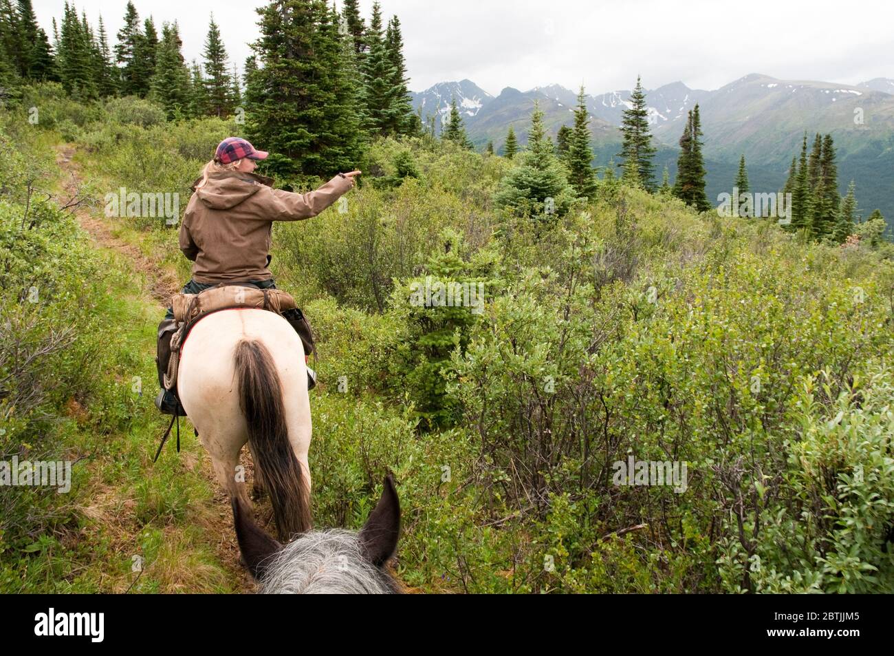 Una guida femminile nella natura selvaggia che conduce un'escursione a cavallo attraverso il Parco Provinciale dell'Altopiano di Spatsizi nella Columbia Britannica settentrionale, Canada. Foto Stock