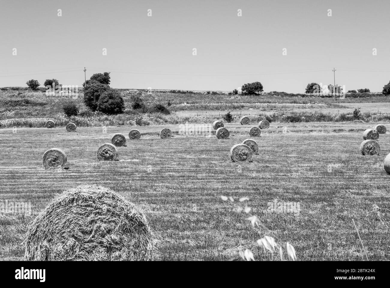 Paesaggio rurale della campagna della Sicilia del Sud-Est in piena primavera, muretti a secco, ulivi e carrubi e balle di fieno. Foto Stock